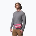 Borsetă Columbia Helvetia II Hip Pack 1 l nico/dark stone 7
