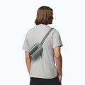 Borsetă Columbia Helvetia II Hip Pack 1 l sedona sage/shark 6