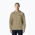 Bluză pentru bărbați Patagonia Daily Hoody weathered stone