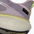 Încălțăminte de alergare pentru femei Nike Pegasus 42 GORE-TEX particle rose/silver lilac/fennel/sail 7