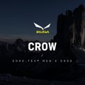Salewa Crow GTX cizme de munte pentru femei negru 00-0000061329 14