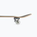 Skateboard clasic Mechanics Pro-Extreme 31 Pro-ext 6