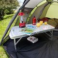 Cort de camping Coleman Darwin 3+ pentru 3 persoane, verde 2000038488 6