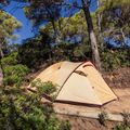 Cort de camping 4-persoane Coleman Darwin Summer 4 + beige 11