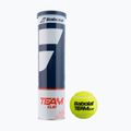 Set de mingi de tenis 4 buc. BABOLAT Team Clay 4 galben 502080