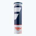 Set de mingi de tenis 4 buc. BABOLAT Team Clay 4 galben 502080 2