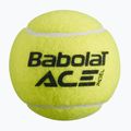 Bile de padel Babolat Ace 3 buc. galben 501104 2