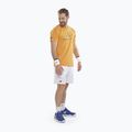 Tricou pentru bărbați Babolat Exercise Big Flag autumn glory 2