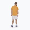 Tricou pentru bărbați Babolat Exercise Big Flag autumn glory 3