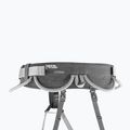 Ham de alpinism Petzl Corax gri C051AA00 3
