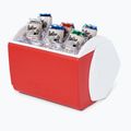 Frigider de camping Igloo Playmate Pal 6 l red star 11