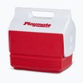 Frigider turistic Igloo Playmate Mini 3 l red star 2
