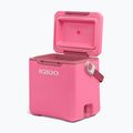 Frigider de camping Igloo Tag Along Too Highrise 18 l pink 4