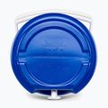 Rezervor de apă Igloo Sport 2 Gallon Water 7,5 l blue 10