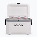 Frigider turistic Igloo Latitude Marine Ultra 54 51 l white/moonscape gray 10