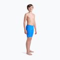 Boxeri de înot pentru copii arena Palette Swim Jammer multi soft green/blue river 6