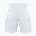 Pantaloni scurți de tenis pentru bărbați Tecnifibre Stretch alb 23STRE 2