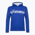 Tricou de tenis pentru bărbați Tecnifibre albastru 21FLHO