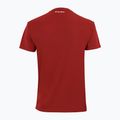 Tricou de tenis pentru bărbați Tecnifibre Team Tech Tee roșu 22TETECR33 3