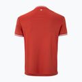 Tricou de tenis pentru bărbați Tecnifibre Team Tech terracotta 5
