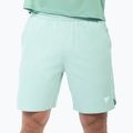 Șorturi de tenis pentru bărbați Tecnifibre Team Stretch Short sage 2
