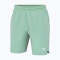 Șorturi de tenis pentru bărbați Tecnifibre Team Stretch Short sage 3
