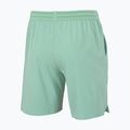 Șorturi de tenis pentru bărbați Tecnifibre Team Stretch Short sage 4