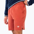 Șorturi de tenis pentru bărbați Tecnifibre Team Stretch Short terracotta
