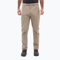 Pantaloni de cățărare pentru bărbați Millet Ubic Stretch Dorite