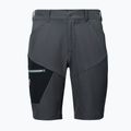 Pantaloni scurți pentru bărbați Millet Wanaka Stretch III tarmac 6
