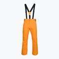 Pantaloni de schi pentru băbați Rossignol Ski sunburst 8