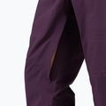 Pantaloni de schi pentru băbați Rossignol Evader mulberry 5