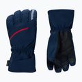 Mănuși de schi pentru bărbați Rossignol Perf R-Shell Thermal dark navy 2