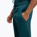 Pantaloni pentru bărbați Venum Silent Power green 6