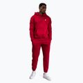 Bluză pentru bărbați  Venum Silent Power Hoodie cherry red 2