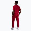 Pantaloni pentru bărbați Venum Silent Power cherry red 3