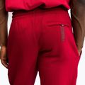 Pantaloni pentru bărbați Venum Silent Power cherry red 5