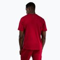 Tricou pentru bărbați Venum Silent Power T-Shirt cherry red 4