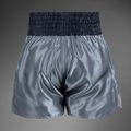 Pantaloni scurți de antrenament pentru bărbați Venum Classic Muay Thai grey 2
