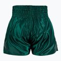 Pantaloni scurți de antrenament pentru bărbați Venum Classic Muay Thai khaki 2