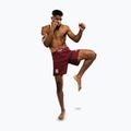 Pantaloni scurți de antrenament pentru bărbați Venum X Ares 2.0 burgundy 5