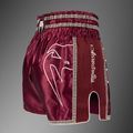 Pantaloni scurți de antrenament pentru bărbați Venum x Rajadamnern Muay Thai burgundy 4