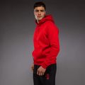 Bluză pentru bărbați Venum x Mike Tyson Tiger Hoodie intense red/deep black 4