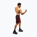 Pantaloni scurți de antrenament pentru bărbați Venum Galactic 3.0 Training red/silver 2