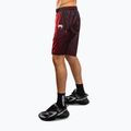Pantaloni scurți de antrenament pentru bărbați Venum Galactic 3.0 Training red/silver 4