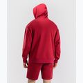 Bluză pentru bărbați Venum Giant 3D Hoodie red 3