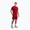 Pantaloni scurți de antrenament pentru bărbați Venum Giant 3D Cotton red 2