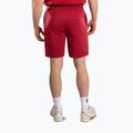 Pantaloni scurți de antrenament pentru bărbați Venum Giant 3D Cotton red 3