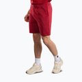 Pantaloni scurți de antrenament pentru bărbați Venum Giant 3D Cotton red 4
