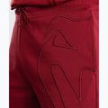 Pantaloni scurți de antrenament pentru bărbați Venum Giant 3D Cotton red 5